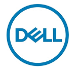 DELL 12TB 7.2K NLSAS 12Gbps 512e 3.5in Hot-plug, For 14G (K29Y6)